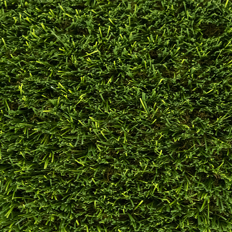 Turf-Distributors-Platinum-Dream-Web-03