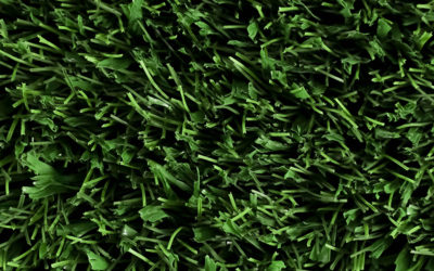 Shop Artificial Grass