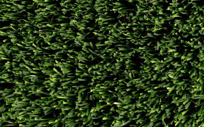 Artificial Turf Blade Shapes