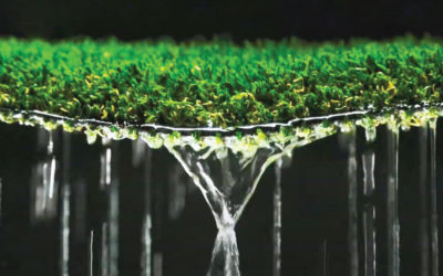 What Is the Fastest Draining Artificial Turf?