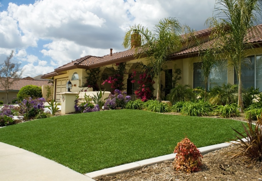 Front Yard Turf