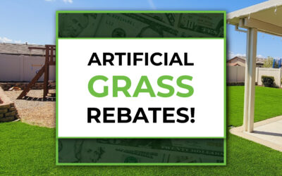 Artificial Grass Rebates are coming to Utah!