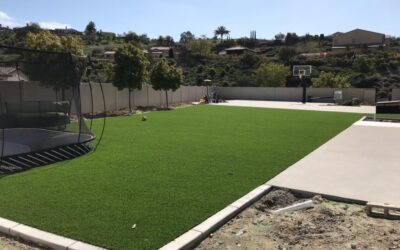 What your artificial turf lawn says about you!