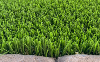 Choosing the Right Artificial Turf for Your Commercial Landscape