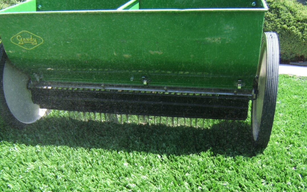 Infill for Artificial Grass: Everything You Need to Know