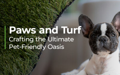 Paws and Turf: Crafting the Ultimate Pet-Friendly Oasis