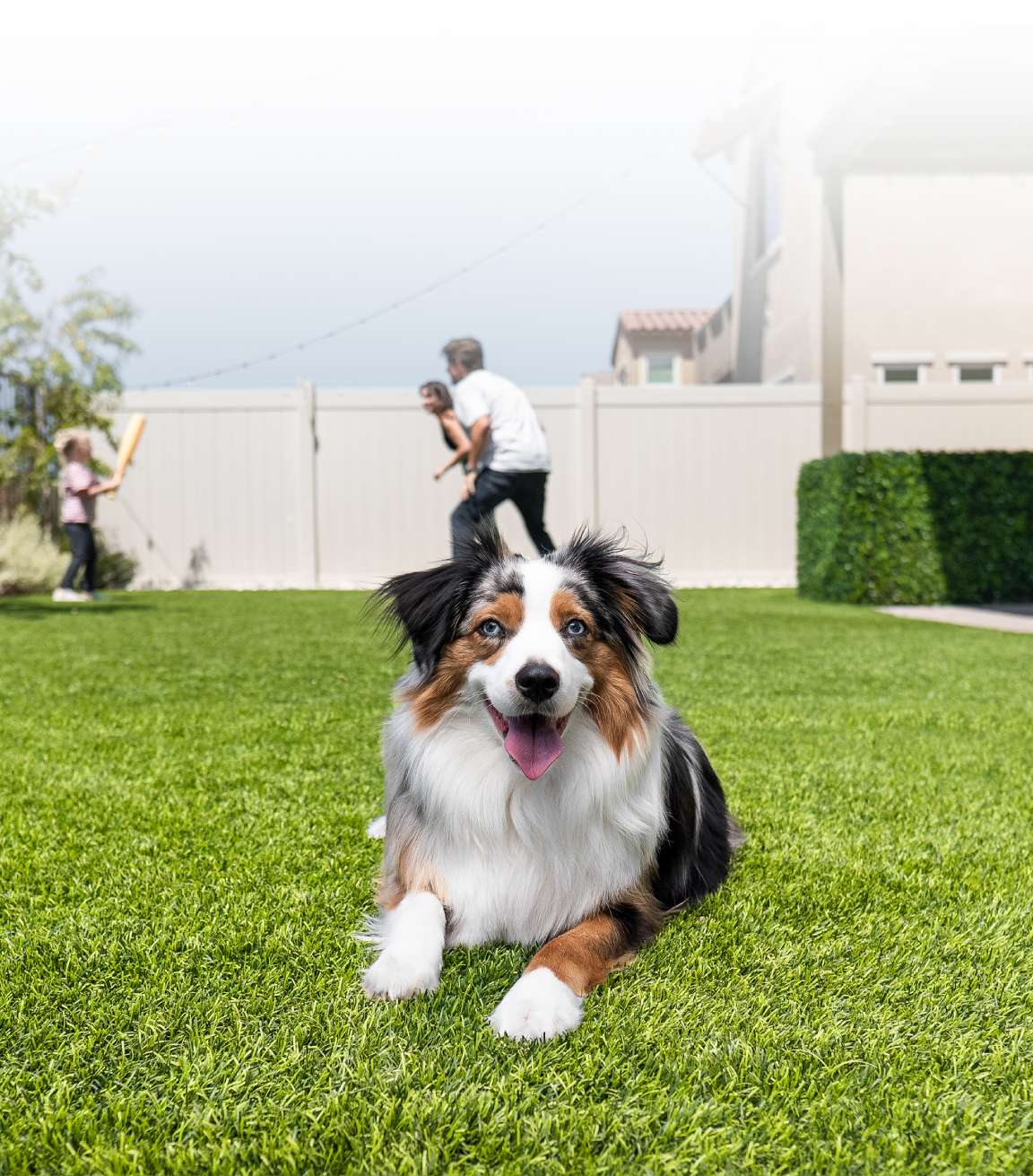 1-lifestyle-pet-mobile-white