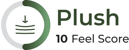 meter-plus-10